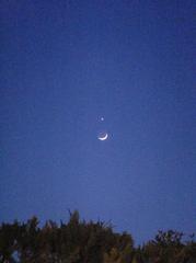A crescent moon&The Venus1.JPG