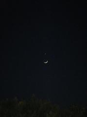 A crescent moon&The Venus2.JPG