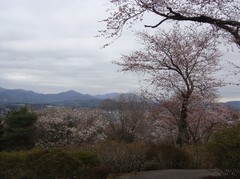 a top of tsutsuji-park1.JPG
