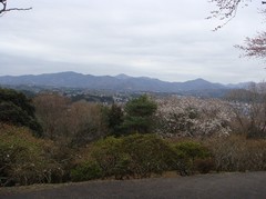 a top of tsutsuji-park2.JPG