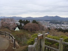 a top of tsutsuji-park3.JPG