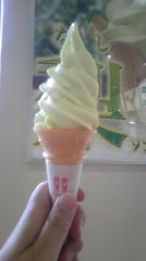 nashi-soft ice cream2.JPG
